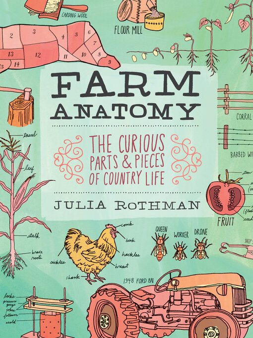 Cover image for Farm Anatomy